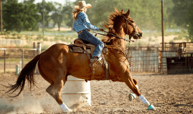 What are the techniques for successful barrel racing?