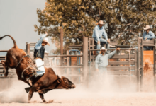 How do riders prepare for bronc riding, both mentally and physically?