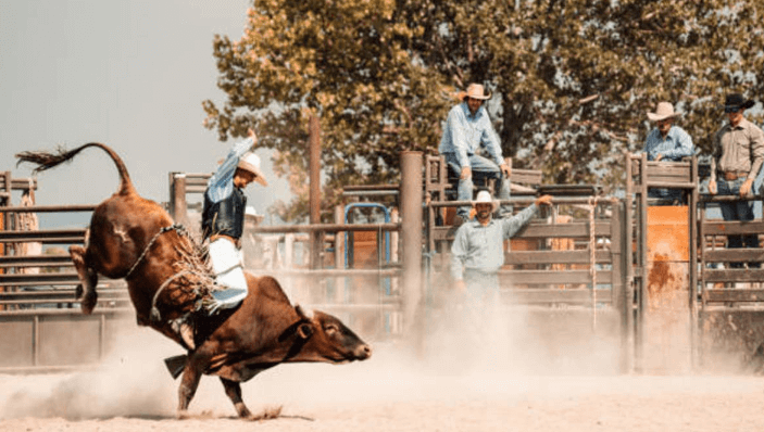 How do riders prepare for bronc riding, both mentally and physically?