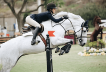 What are the unique challenges of each horse riding discipline?