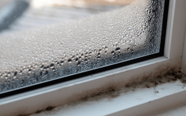 Top Signs Your Home Needs Mold Remediation