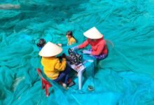 fishing family s innovative practices