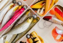 fishing guides business innovation