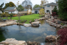 Swimming Pond