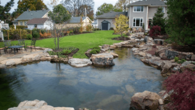 Swimming Pond