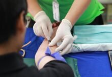 gonzay com agency services offered