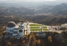 ho llywood775 profile summary