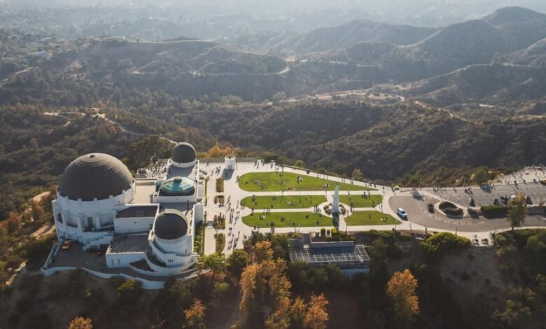 ho llywood775 profile summary