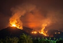 jancilkizmor safety risks evaluated