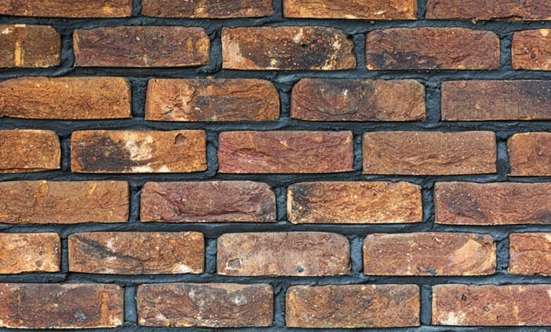 cohort alignment for numerics