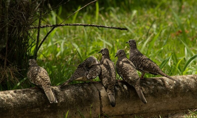 encoded dataset integrity log