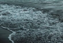 numeric flow synchronization process