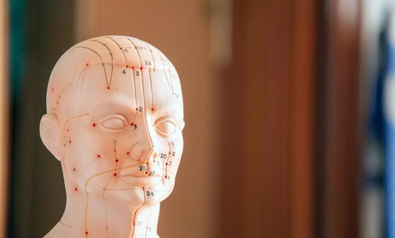 numeric reference assimilation brief