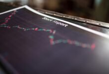 call report overview details