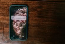 contact alert phone number