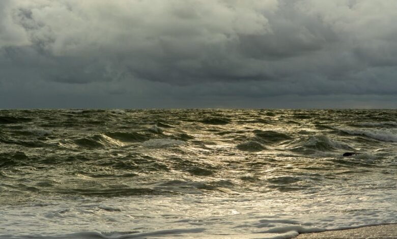 strategic path for horizon