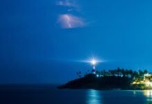 vertex beam business surge